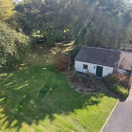 Cosy 2 Bed Cottage Next To Fota Wildlife Park Корк Екстер'єр фото